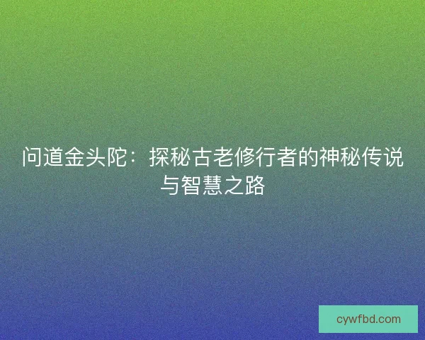 问道金头陀：探秘古老修行者的神秘传说与智慧之路